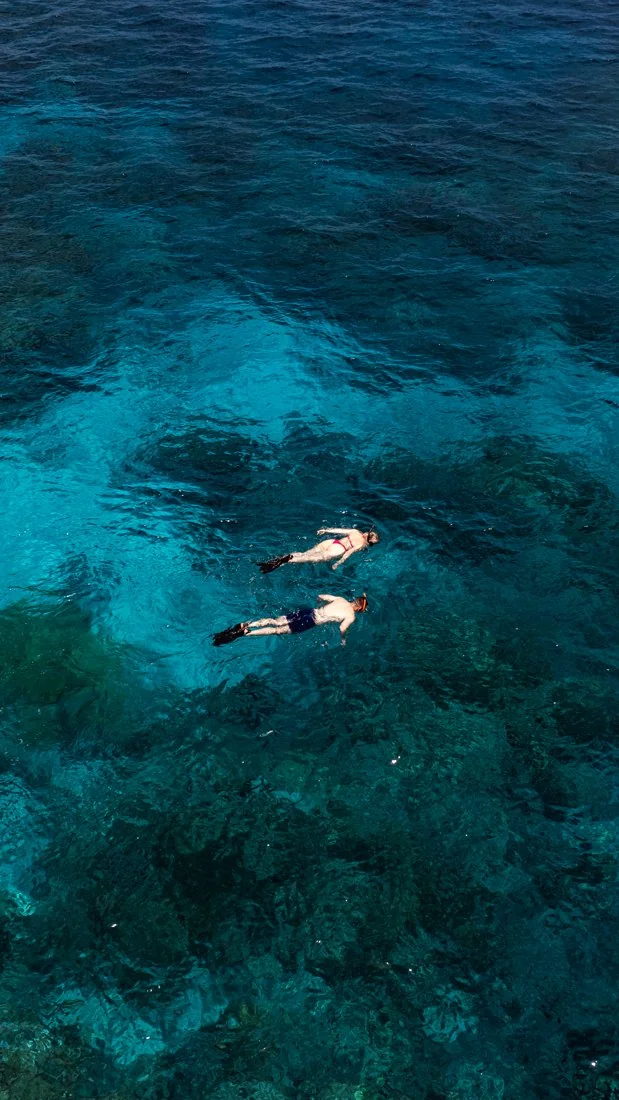 Snorkellers exploring the house reef at Embudu Village