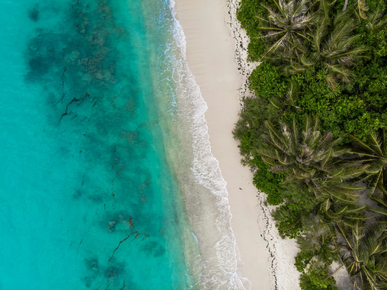 Palms and turquoise water on Dhigurah’s coastline