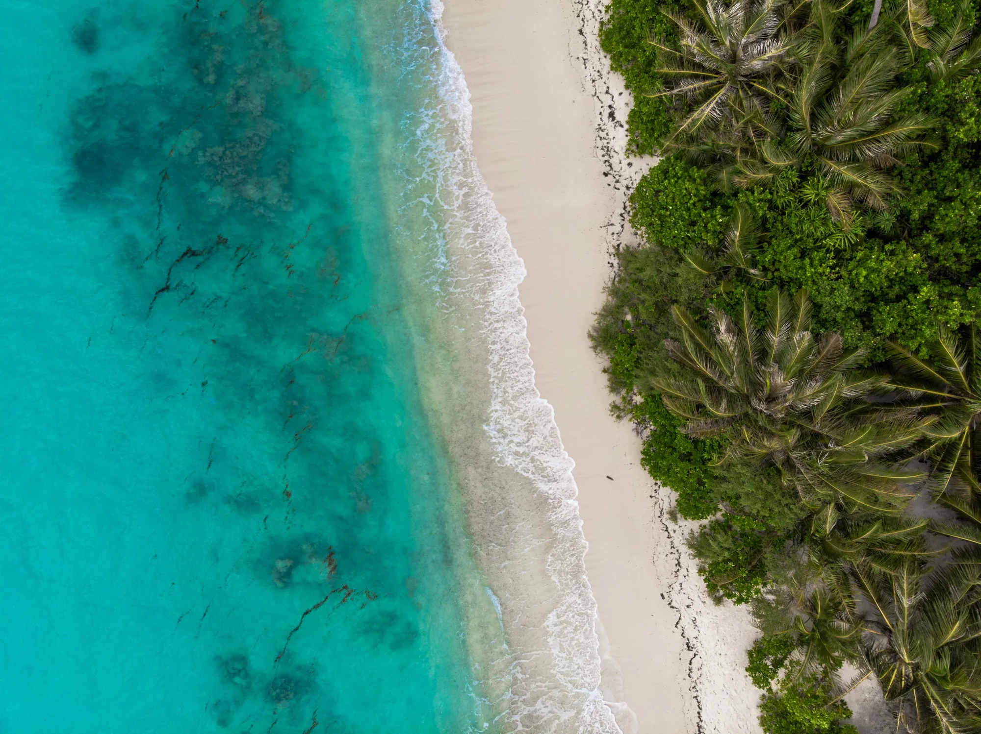 An untouched-looking stretch of Dhigurah’s inhabited island: turquoise sea, white sand and dense coconut palms