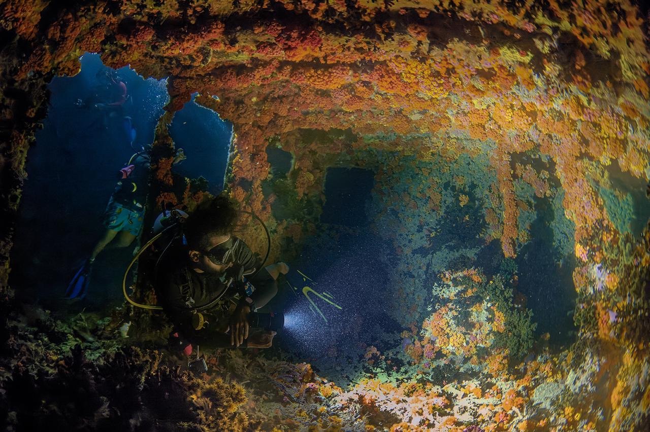 Divers exploring a reef overhang