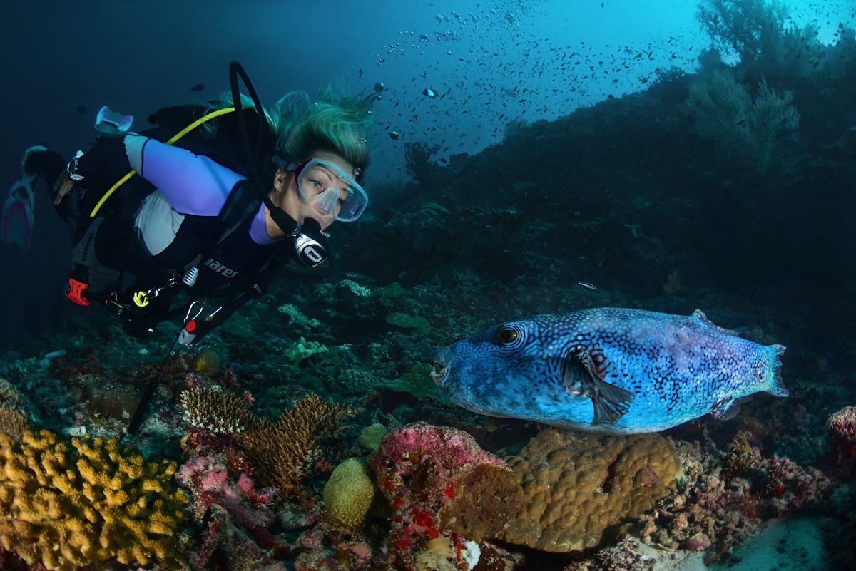 Scuba diver exploring reef life