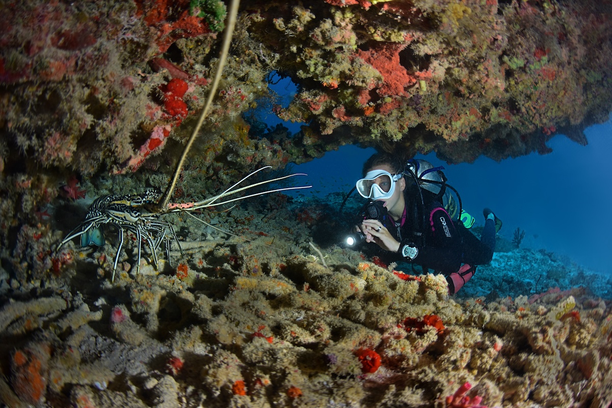 Scuba diver beside coral reef