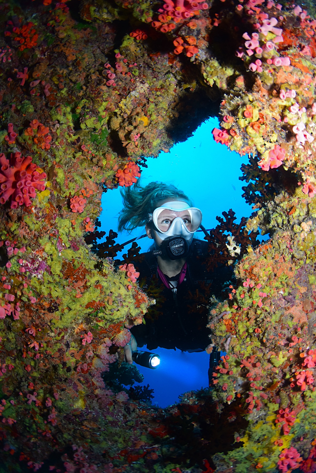 Scuba diver swimming through a coral reef
