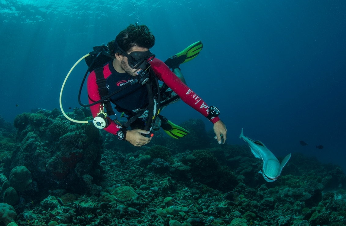 Scuba diver exploring the underwater reef